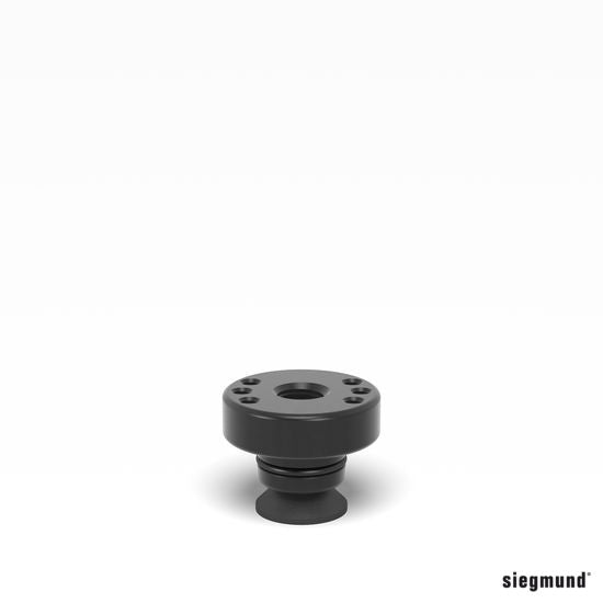 Load image into Gallery viewer, Siegmund System 28 Adapter with Hole Pattern Ø 50 / 15 burnished (2-280715) – product view